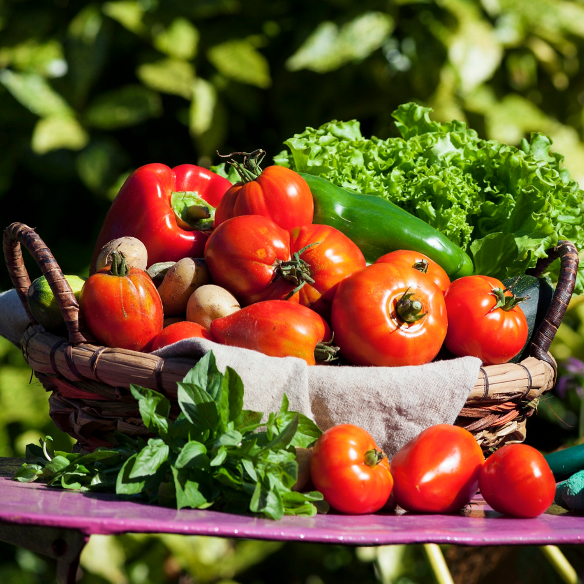 Seasonal Produce Guide: What’s in Season and How to Use It
